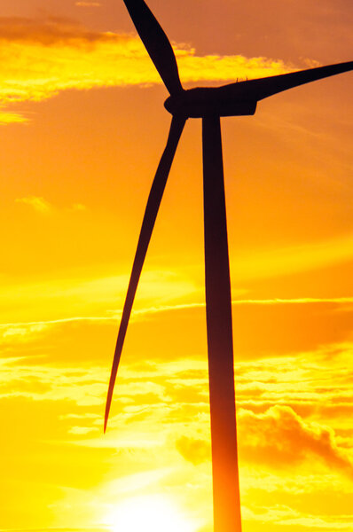 wind turbines at sunset