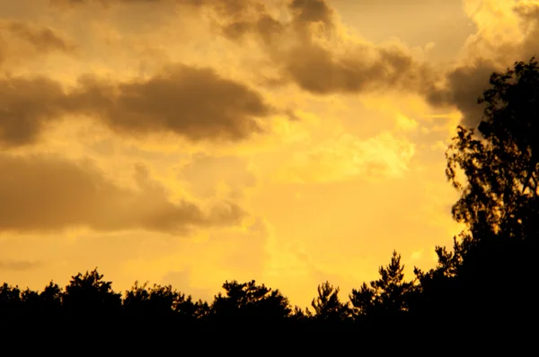 Hermoso cielo al atardecer — Foto de Stock