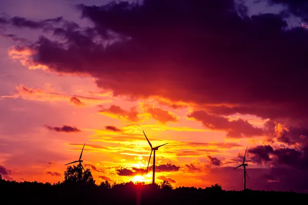 Vindturbiner vid solnedgången — Stockfoto