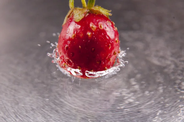 Fructe de căpșuni — Fotografie, imagine de stoc