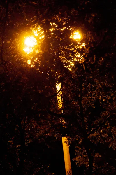 Gece sokak lambası — Stok fotoğraf