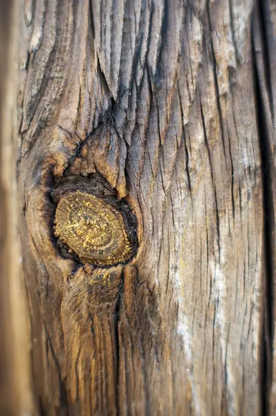 木材表面 — ストック写真