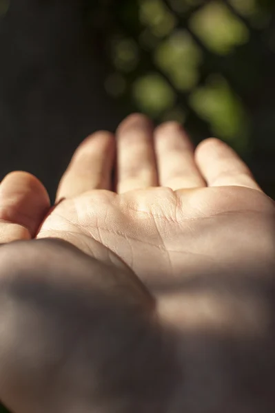 Ludzki palec — Zdjęcie stockowe
