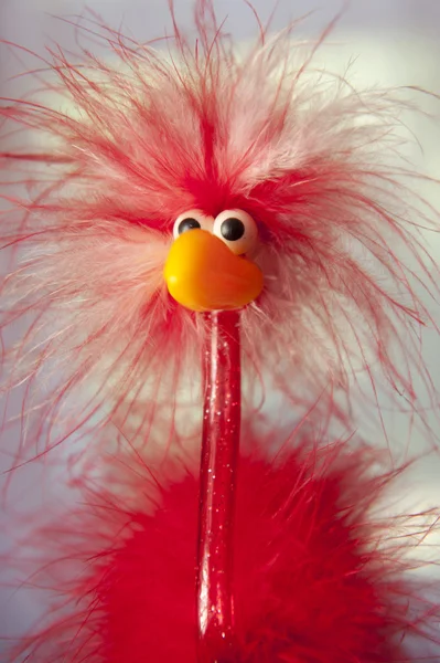 Ostrich headtoy — Stock Photo, Image