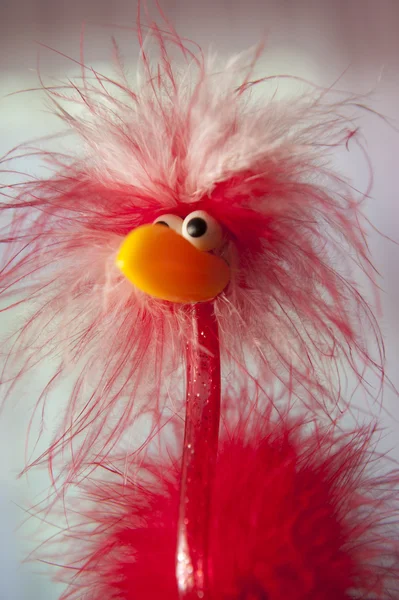 Ostrich headtoy — Stock Photo, Image
