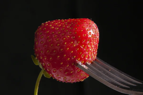 Erdbeerfrucht — Stockfoto