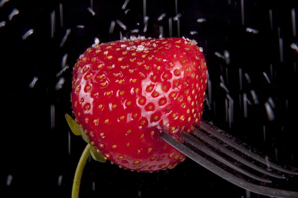 Strawberry fruit — Stock Photo, Image