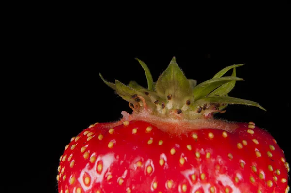 Erdbeerfrucht — Stockfoto