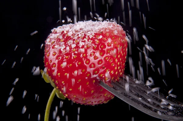 Strawberry fruit — Stock Photo, Image