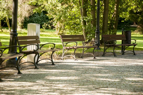 Empty bench in the park — Stock Photo, Image