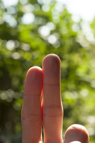 Två mänskliga fingrar — Stockfoto