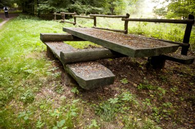 ormanda ahşap piknik masaları