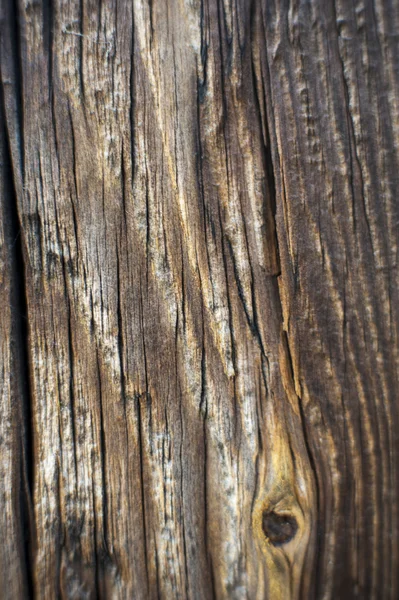 木材表面 — 图库照片