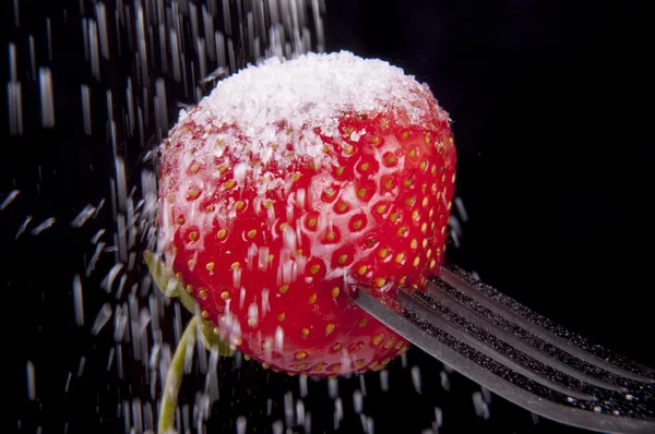 Strawberry fruit — Stock Photo, Image