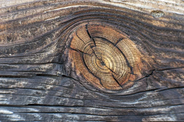 Superficie del legno — Foto Stock