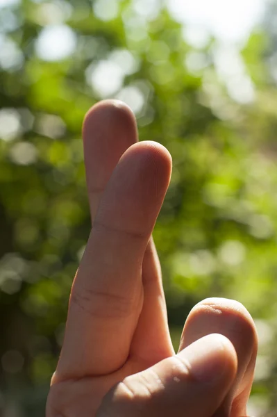 Dedos humanos — Foto de Stock
