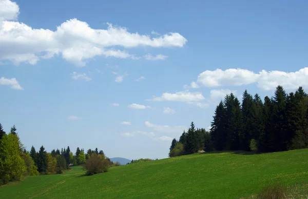 Karpaten im Frühling — Stockfoto