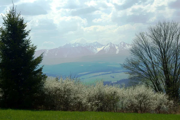 Karpaten im Frühling — Stockfoto