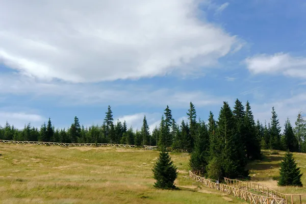 Trail in mountains — Stock Photo, Image