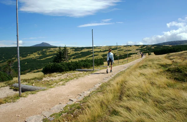 Trail in mountains — Stock Photo, Image