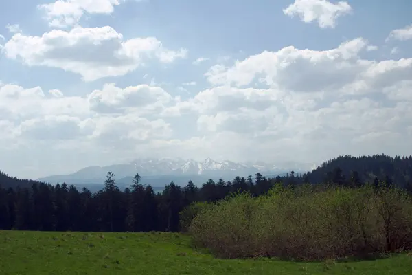 Карпатські гори на весну — стокове фото
