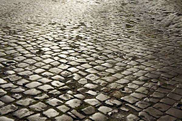 Pietra ciottolosa sulla strada — Foto Stock