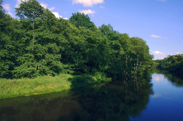Parsenta 河和森林在波兰 — 图库照片