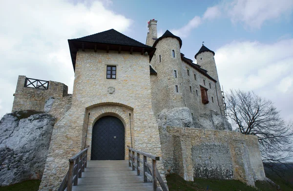 Mittelalterliche Burg mit Türmen in Bolice — Stockfoto