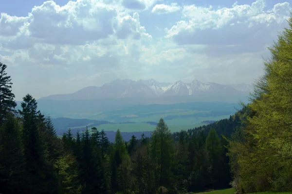 Carpathian mountains at spring — Stock Photo, Image