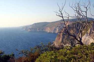 cliff, zakynthos Adası üzerinde kuru ağaç