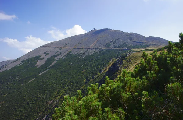 在 karkonosze 山径 — 图库照片