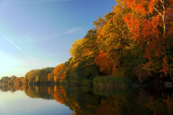 Jezioro i Las jesienią — Zdjęcie stockowe