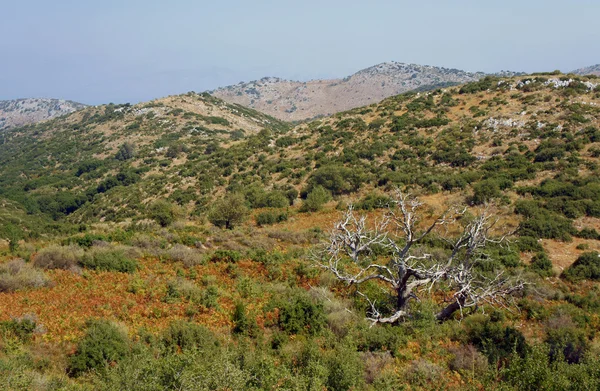 Dağlar Korfu Adası — Stok fotoğraf