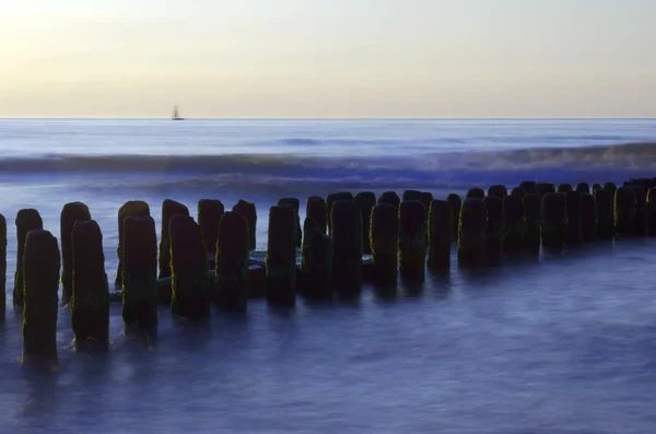 Rompeolas de madera en la costa báltica — Foto de Stock