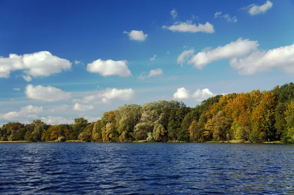 Lake and forest in the autumn — Stock Photo, Image