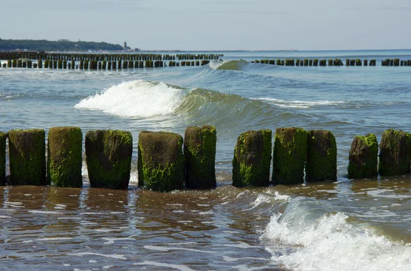 Dřevěné vlnolamu Baltské moře — Stock fotografie