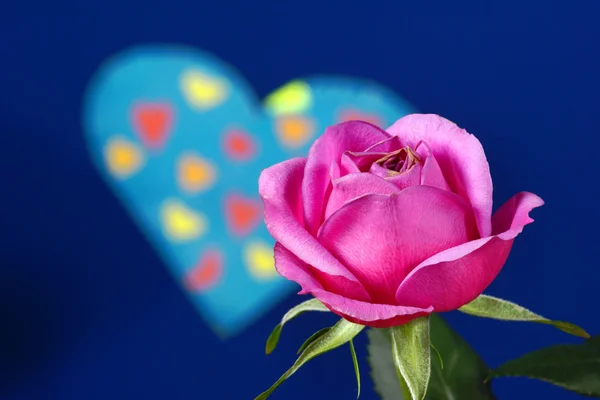 Rosa y corazón en el Día de San Valentín —  Fotos de Stock