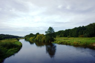 parsenta nehir ve orman Polonya