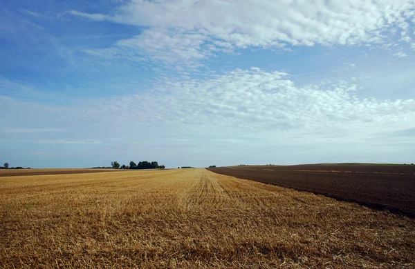 Paisaje rural después de cosecha —  Fotos de Stock