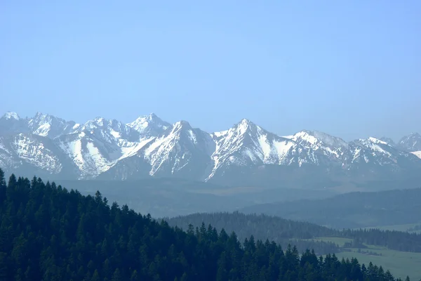 Carpathian mountains at spring — Stock Photo, Image