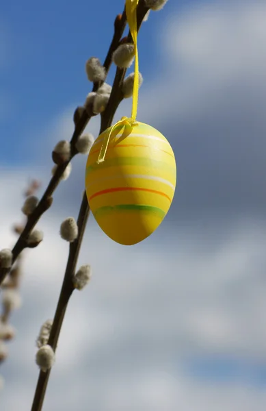 Catkins dan telur Paskah — Stok Foto