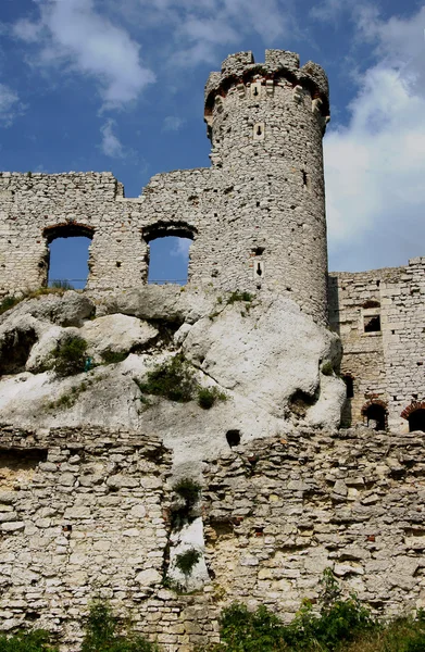 Ruiny średniowiecznego zamku z wieżą w ogrodzieniec — Zdjęcie stockowe