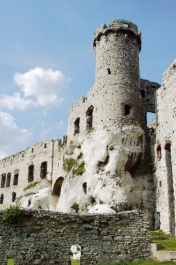 ogrodzieniec bir kule ile harap Ortaçağ Kalesi