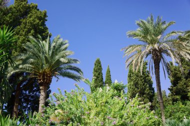 avuç içi ve çiçekler