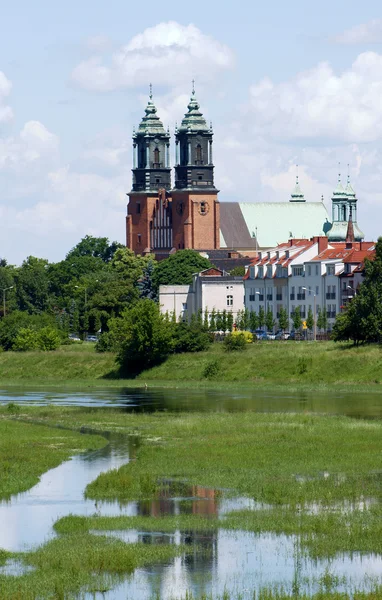 River Warta and Archicathedral Basilica — Stock Photo, Image