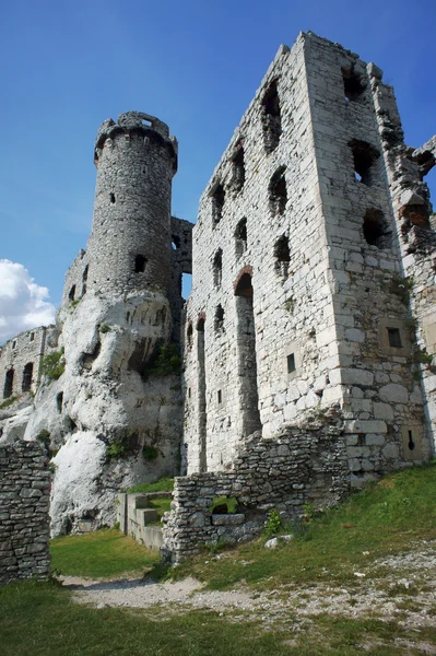 Ruined medieval castle with tower — Stock Photo, Image