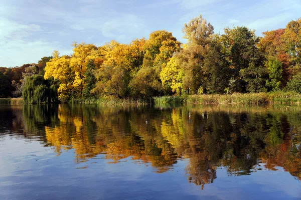 湖上的秋天森林 — 图库照片