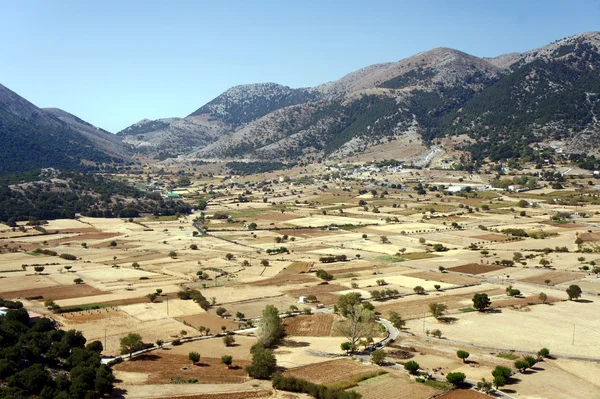 Rural landscape — Stock Photo, Image