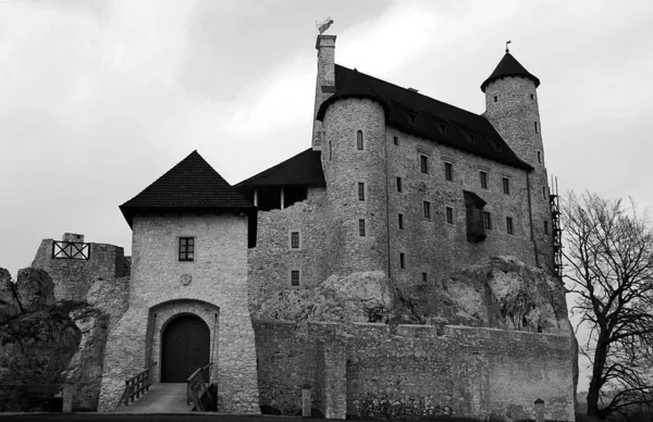 Tour médiévale et château en ruine — Photo