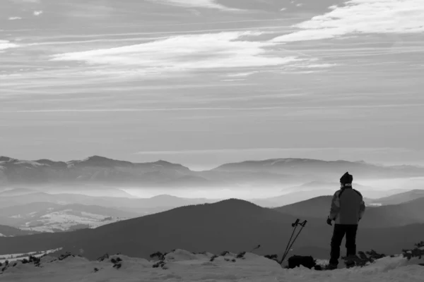 Montañas de los Cárpatos en invierno —  Fotos de Stock